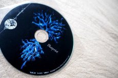 画像12: 10%OFF!!  ワールドミュージック好きの方に！Sound scape CDアルバム第２弾  ''Blueprint'' (12)