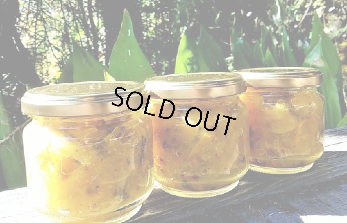 画像5: 10％OFF！自然農のゆずとハーブのアチャール(インド風スパイシーなお漬物)　　〜手作り自然生活∞アマヤマ草庵〜　 送料無料適応外 (5)