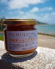 画像1: 新入荷！琉球マンゴーアチャール　無農薬マンゴー使用　内容量120g　無添加　発酵　保存食　アマヤマ草庵 (1)