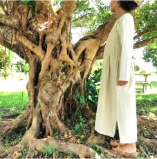 画像4: 重ね着に◎ヘンプコットン　カシュクール風ワンピース　アマヤマ草庵　[ブランド直送] (4)